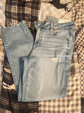 NWT AE Womens Low Rise Skinny Jeans Size 12 Short